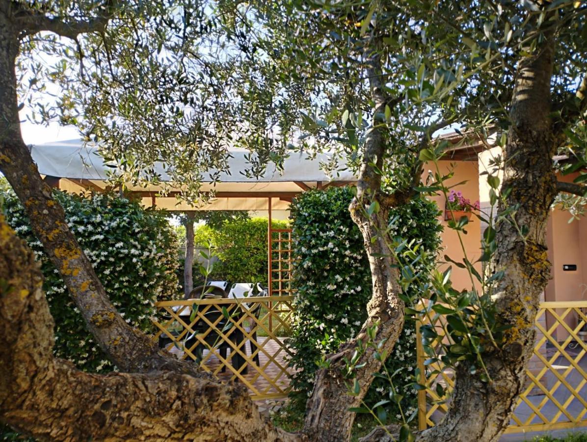 Villa Melody House - Dependance Castel del Bosco  Exterior foto