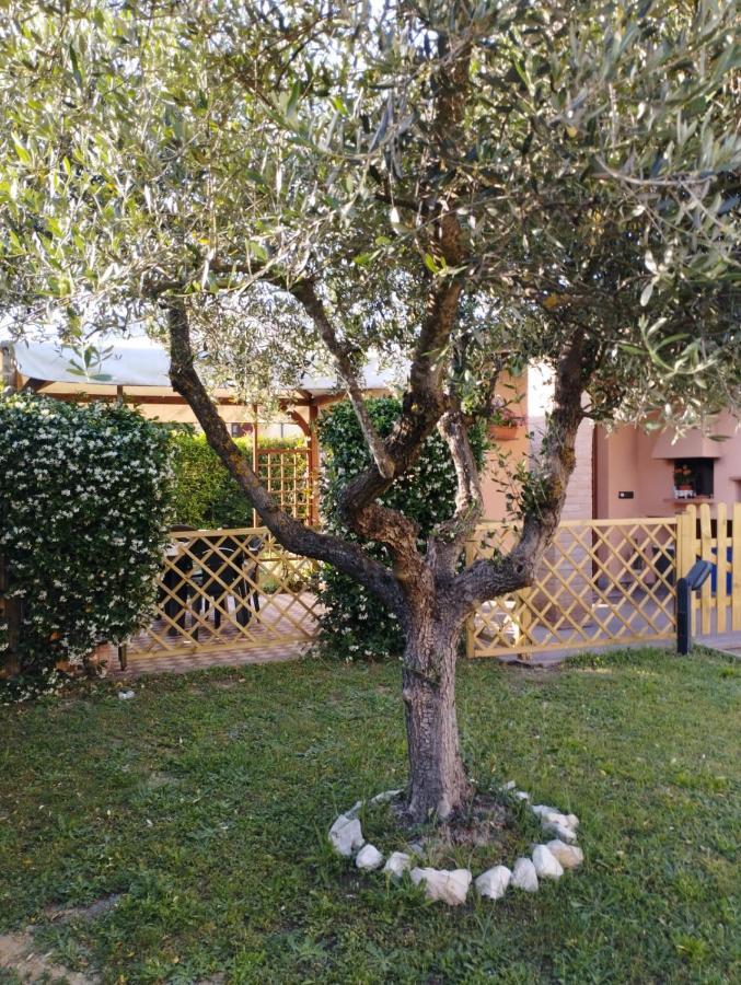 Villa Melody House - Dependance Castel del Bosco  Exterior foto